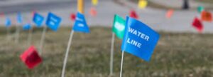 Water Line Flag Picture